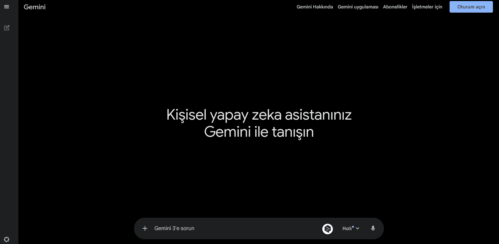 Google Gemini screenshot 1